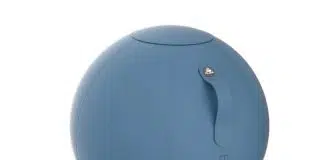 Ergoball