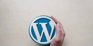 Logo Wordpress